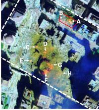 Thermal image